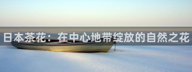 新宝gg娱乐首页