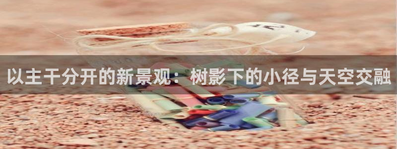 新宝gg注册网站