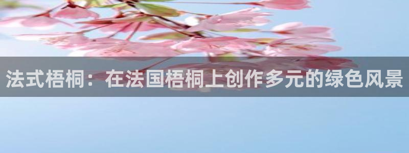 新宝gg开号