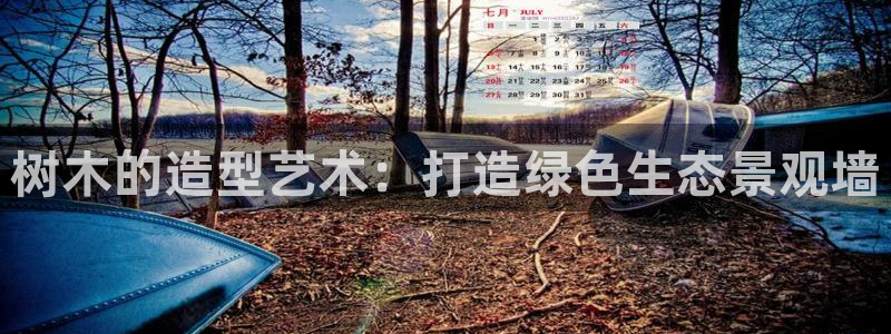新宝gg平台登录 新宝GG