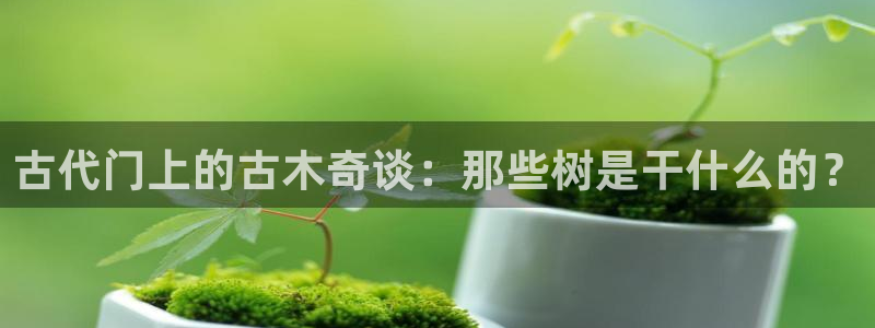 新宝GG管理