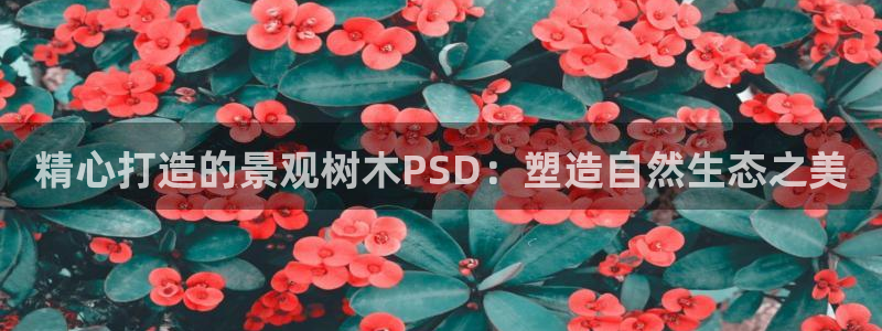 新宝gg6