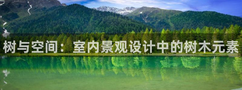 新宝gg 奇迹
