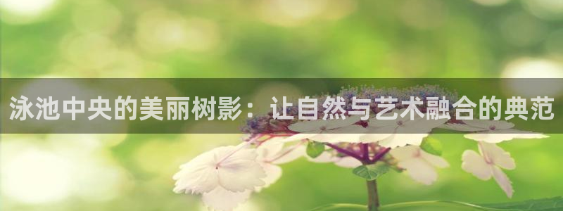 新宝gg客户登录
