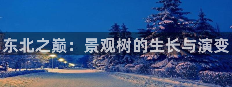 新宝GG股东