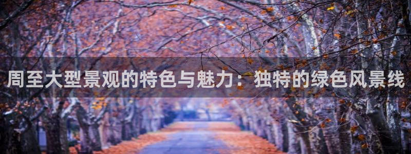 新宝gg网