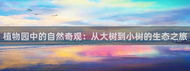 新宝gg创造奇迹登陆