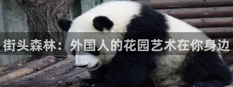 菲律宾新宝gg娱乐