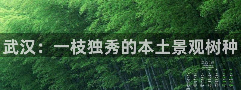 新宝gg测试