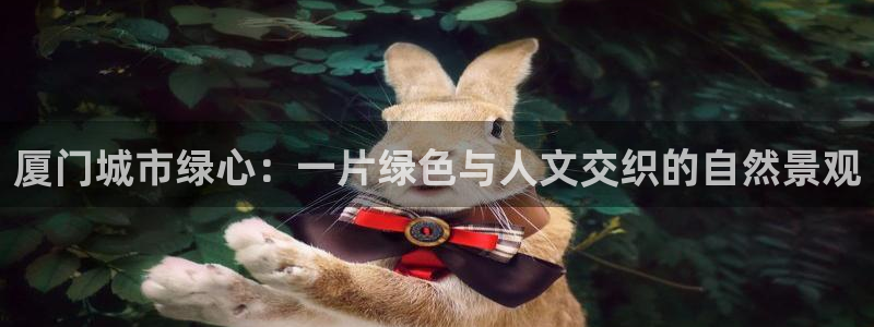 新宝新宝gg开户流程
