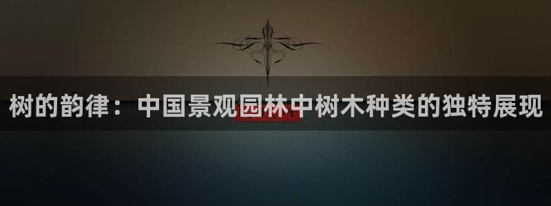 新宝gg平台开户