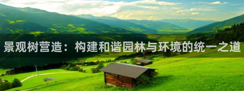 新宝gg地址新宝二