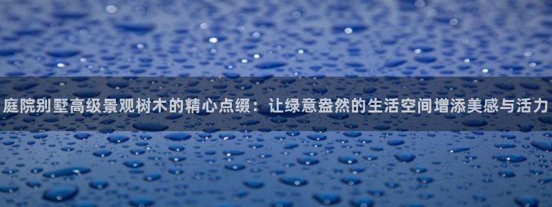 新宝gg创建奇迹