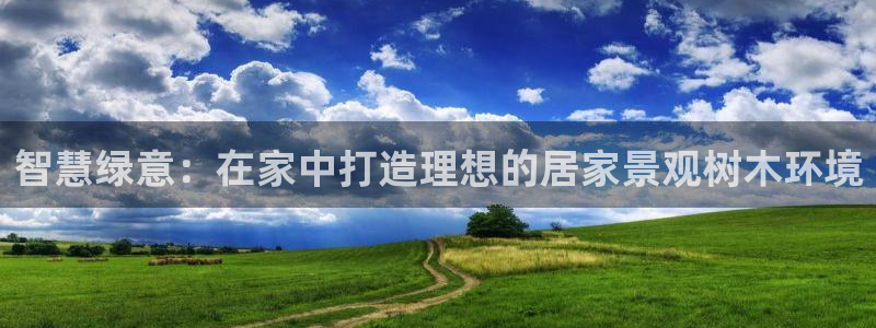 新宝gg技术