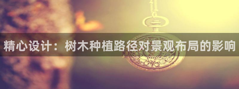新宝gg什么