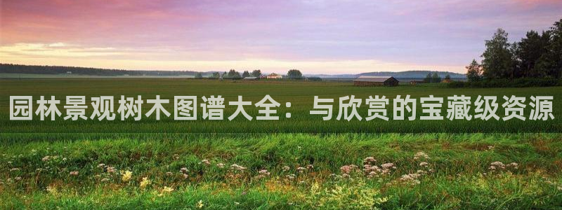 新宝gg怎样代理