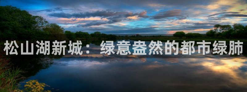 新宝gg主管都是谁