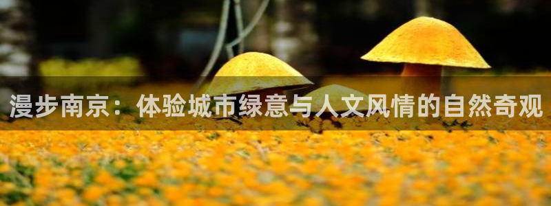 新宝gg开奖结果