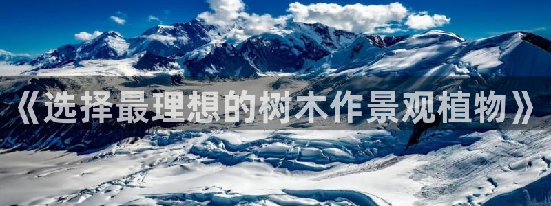 新浪新闻新宝gg