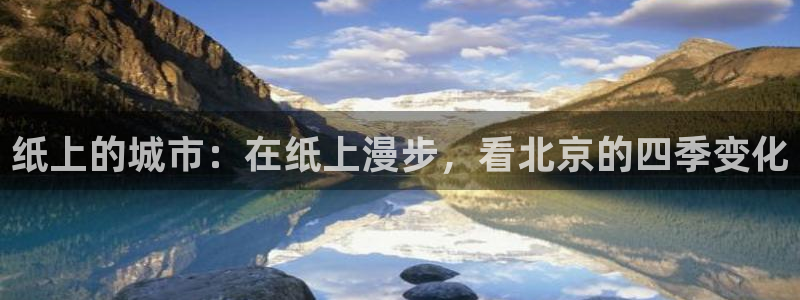新宝gg是什么