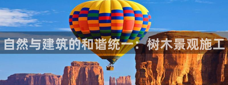 新宝gg平台首页