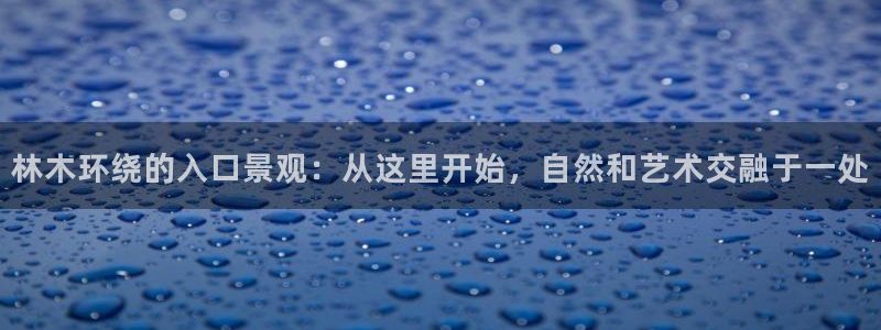 新宝gg找回账号