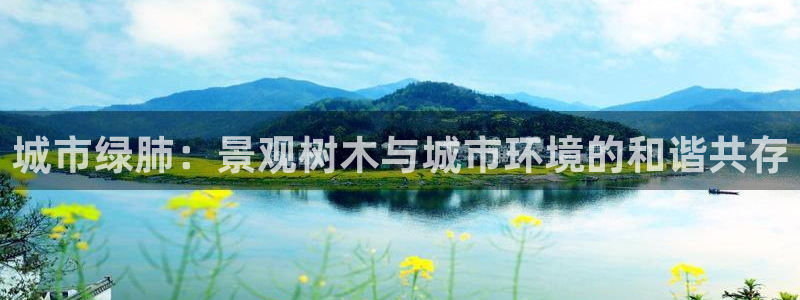 新宝gg官方下载