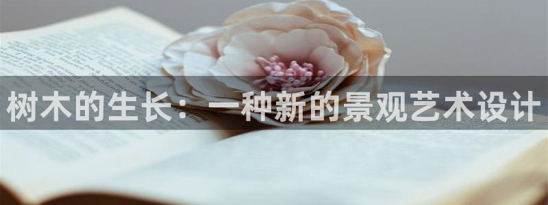 新宝gg创造奇迹登陆