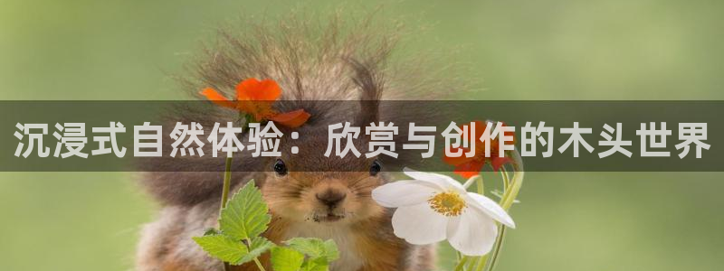 新宝gg ios下载