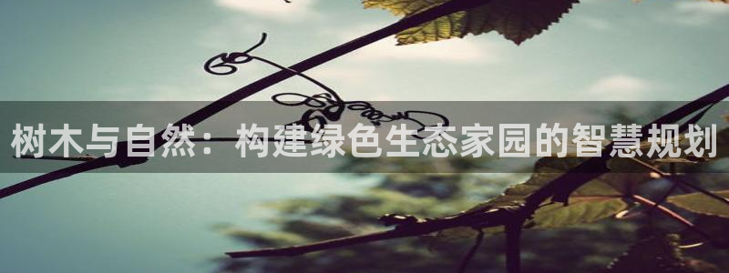 新宝gg真的