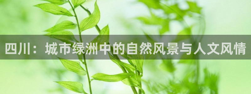 新宝gg下载