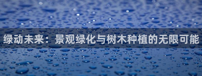 新宝奇迹GG5