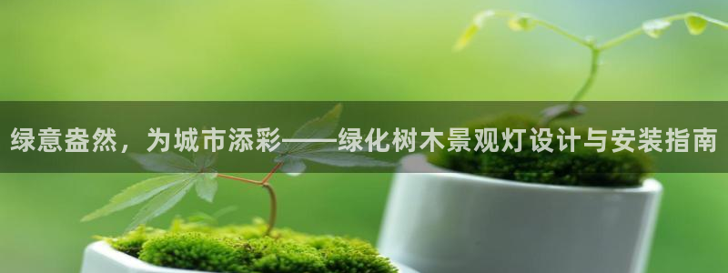 新宝gg游戏平台