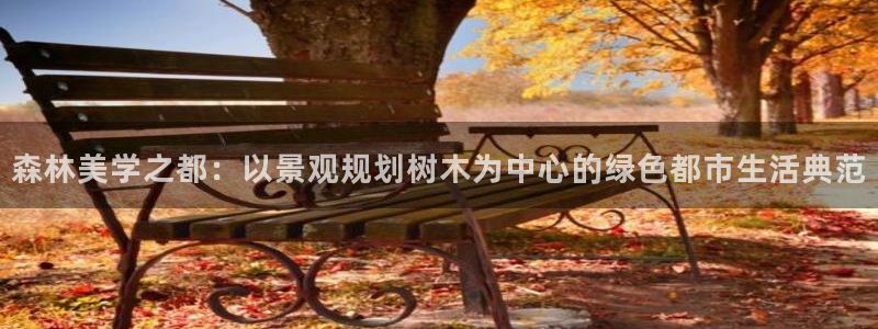 新宝gg玩