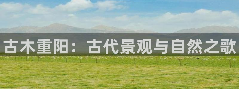 新宝gg娱乐官网