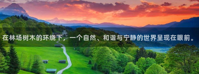 新宝gg正规