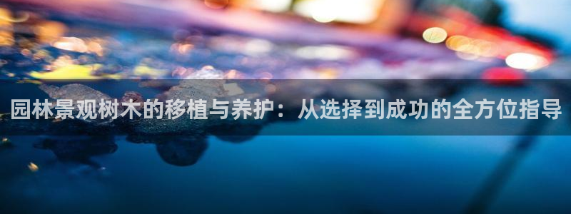 下载新宝gg