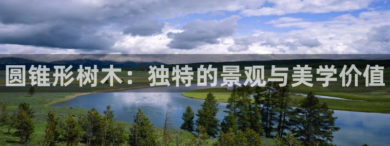 新宝gg维护