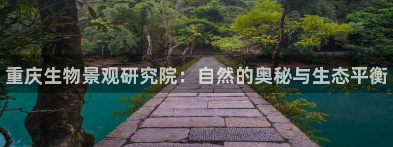 新宝gg-创业奇迹