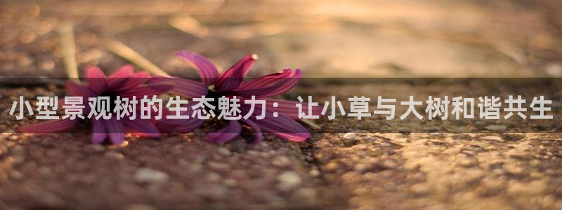 旧版新宝GG