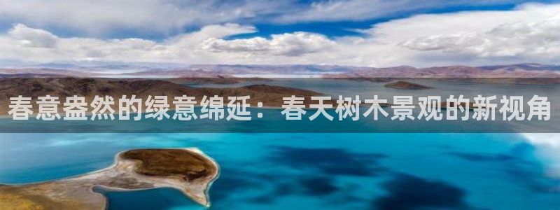 新宝gg在哪开户