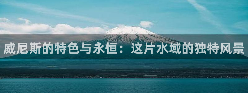 新宝gg指定平台