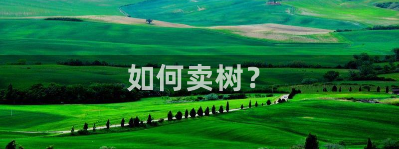 新宝奇迹GG5