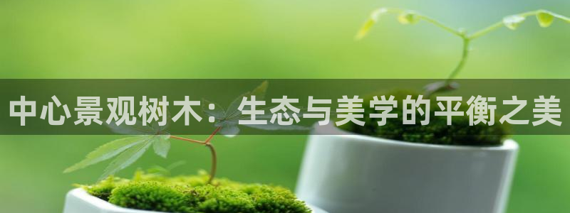 新宝gg为什么没人管