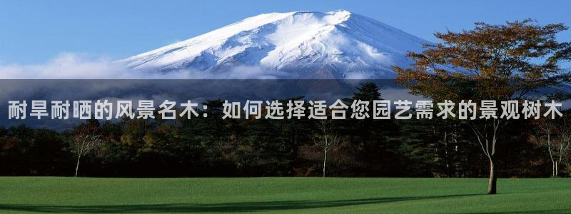 新宝gg创建奇迹