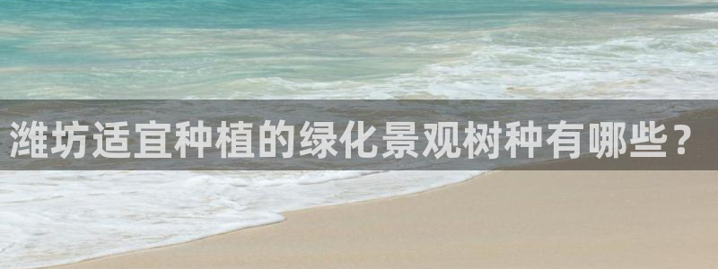 新宝Gg测速地址