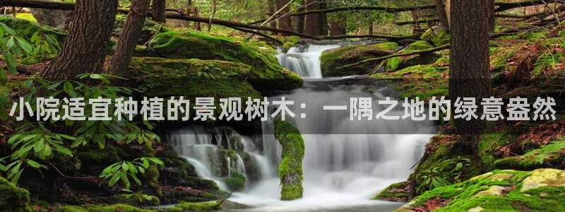 新宝gg娱乐上皇巢网
