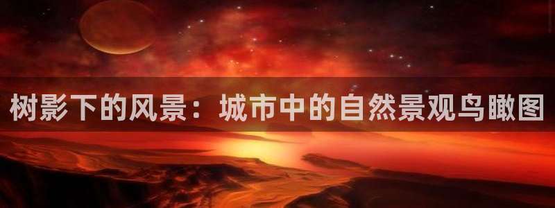 新宝gg 1980：树影下的风景：城市中的自然景观鸟瞰图
