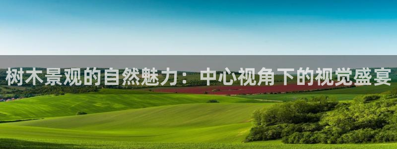 新宝gg平台怎么样