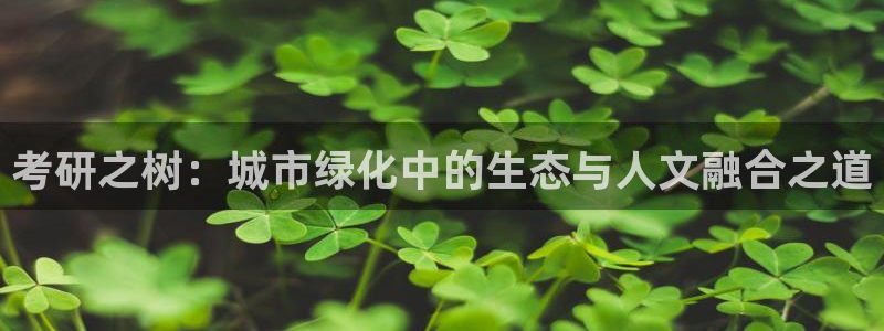 新宝gg 黑：考研之树：城市绿化中的生态与人文融合之道